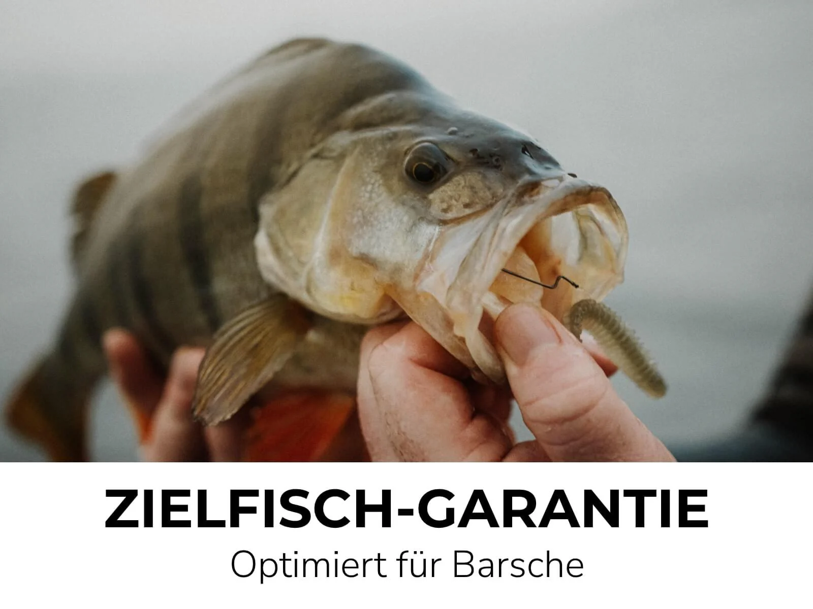 Vorschaubild 20