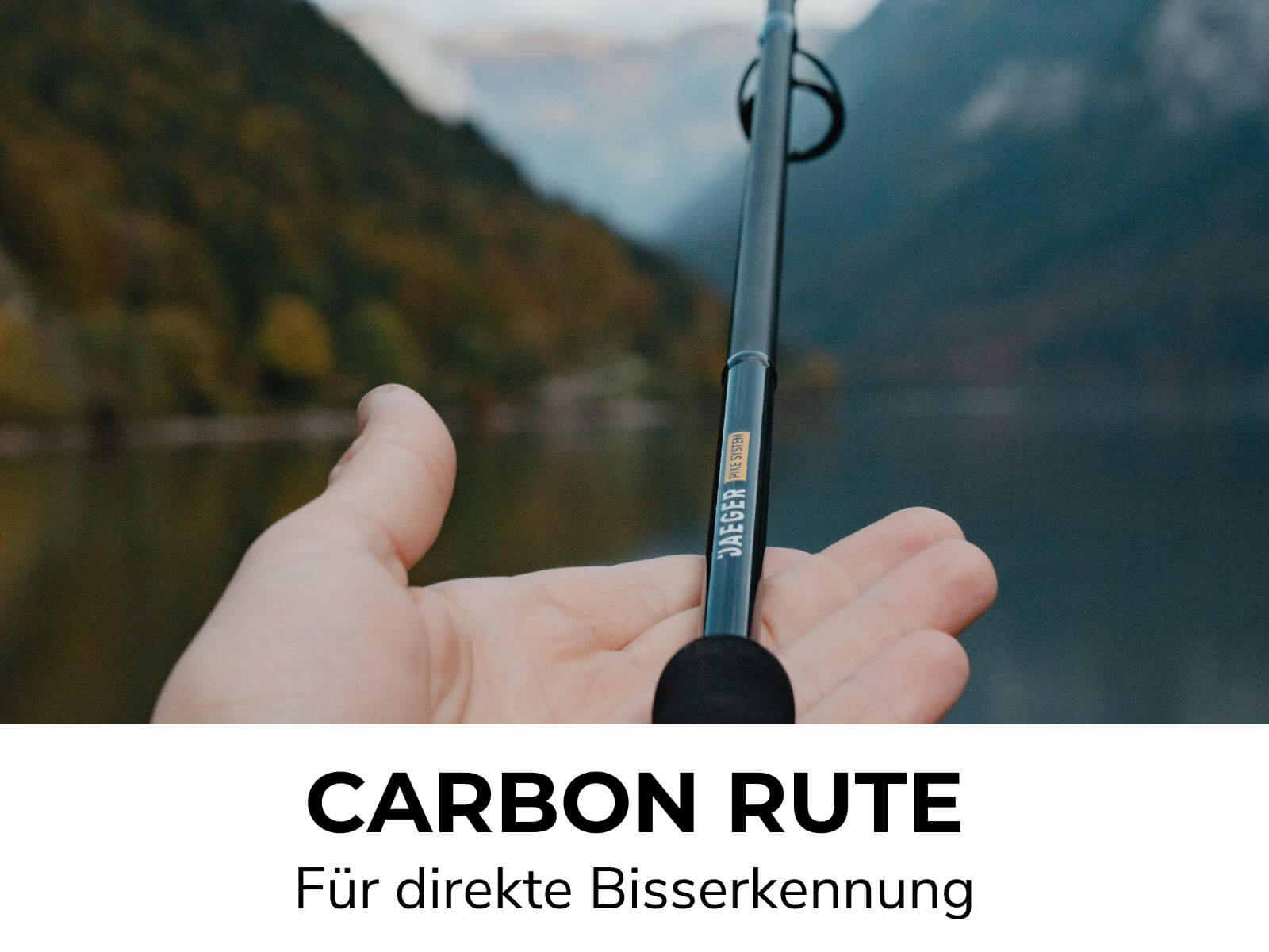 Vorschaubild 10