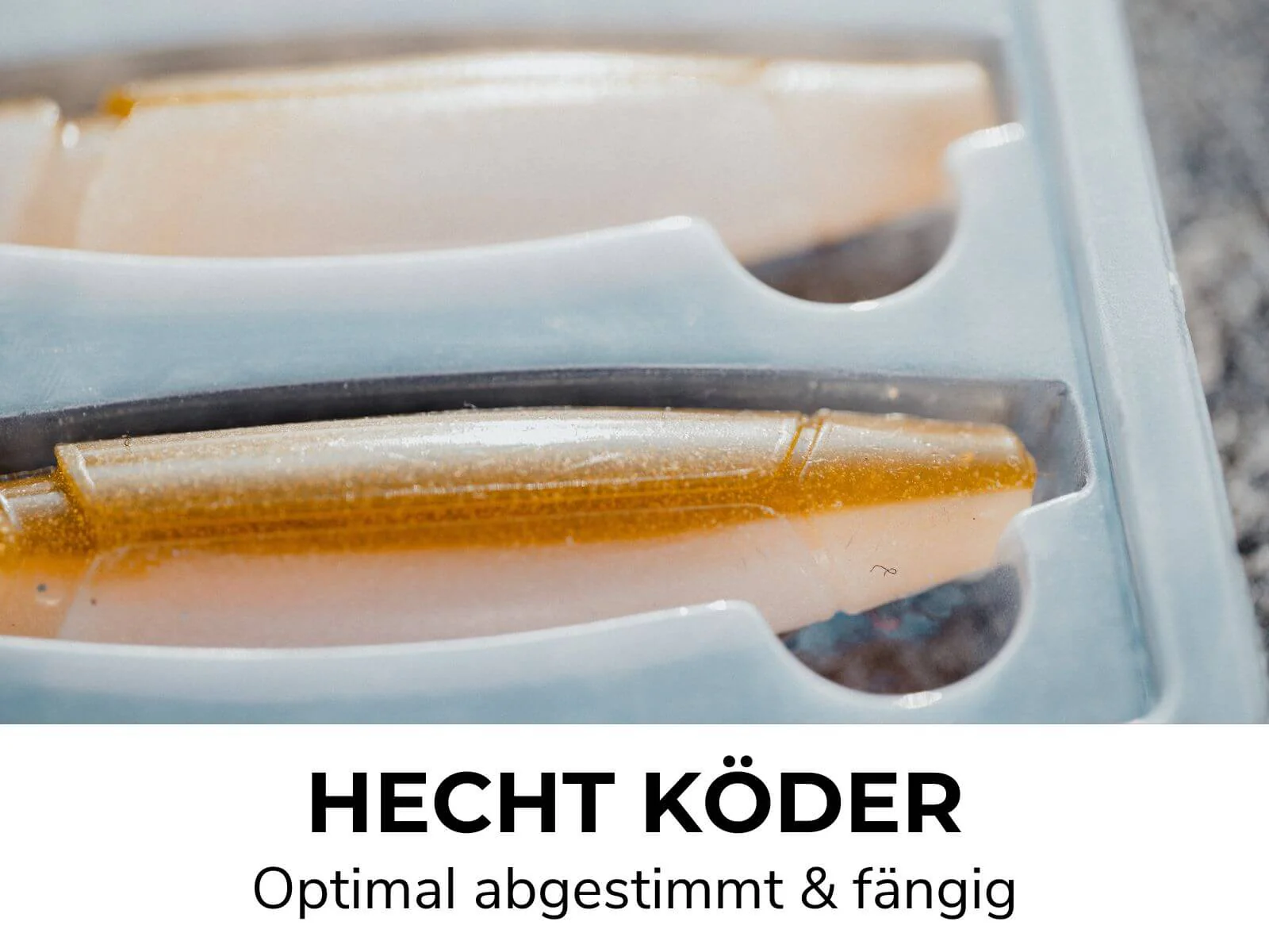 Vorschaubild 12