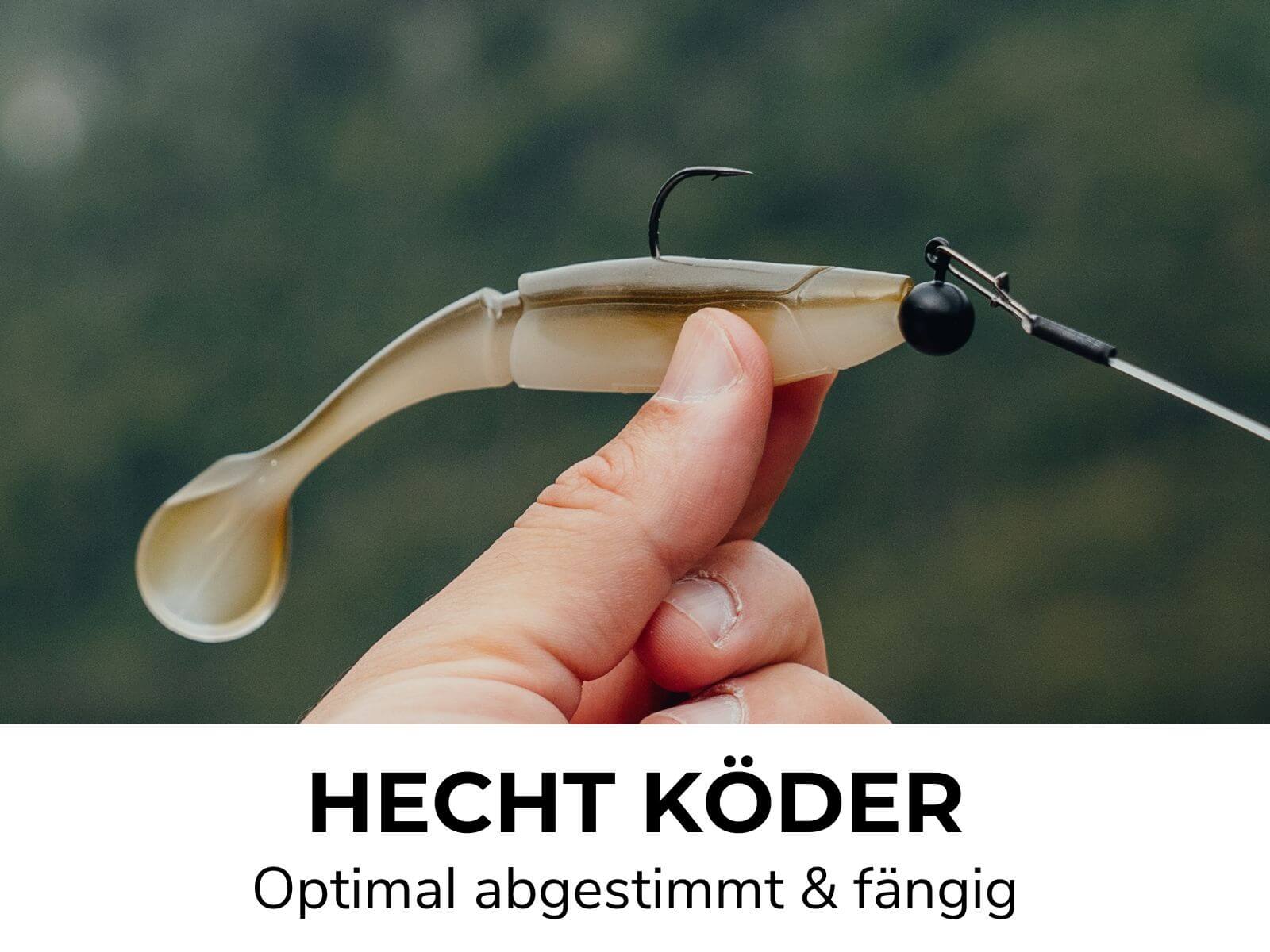 Vorschaubild 8