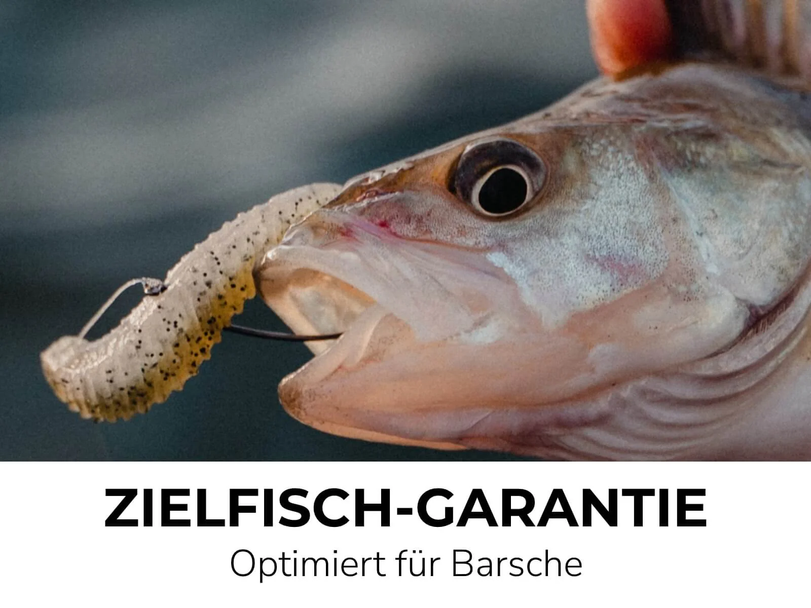 Vorschaubild 10