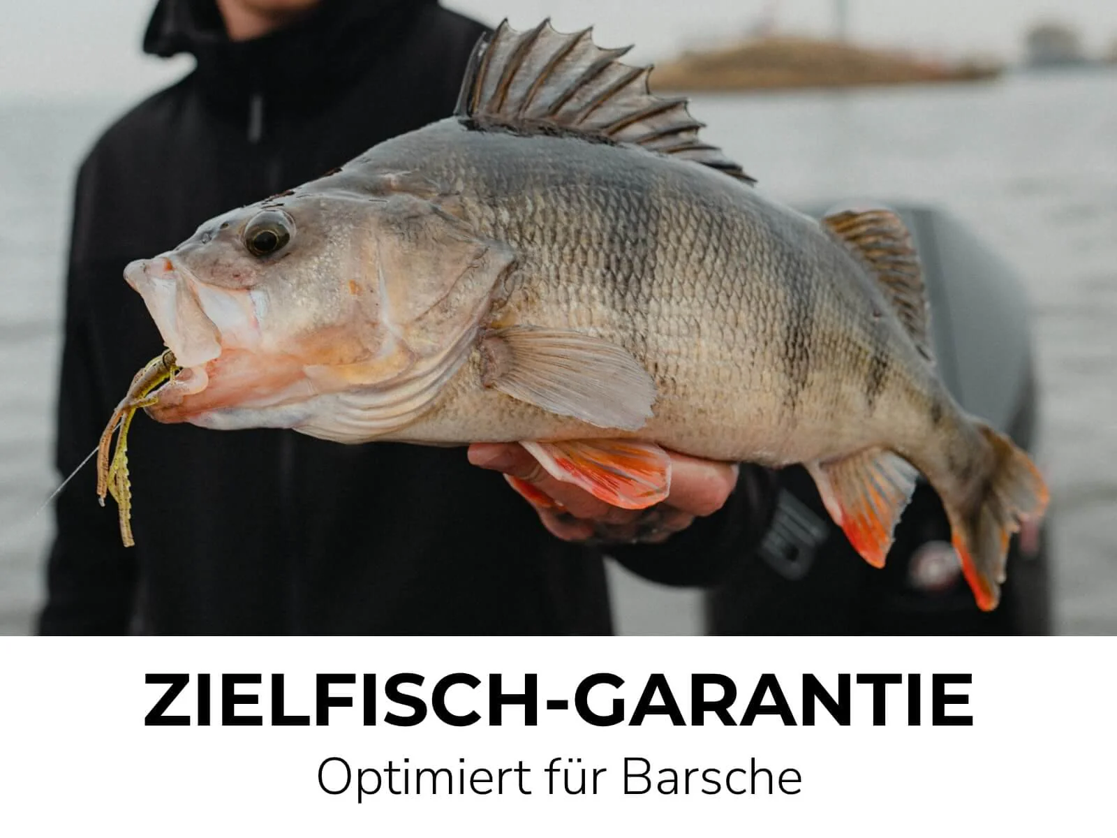 Vorschaubild 25