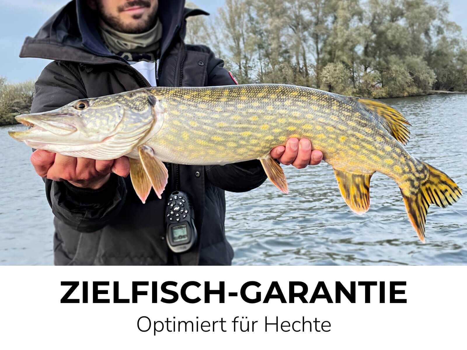 Vorschaubild 5