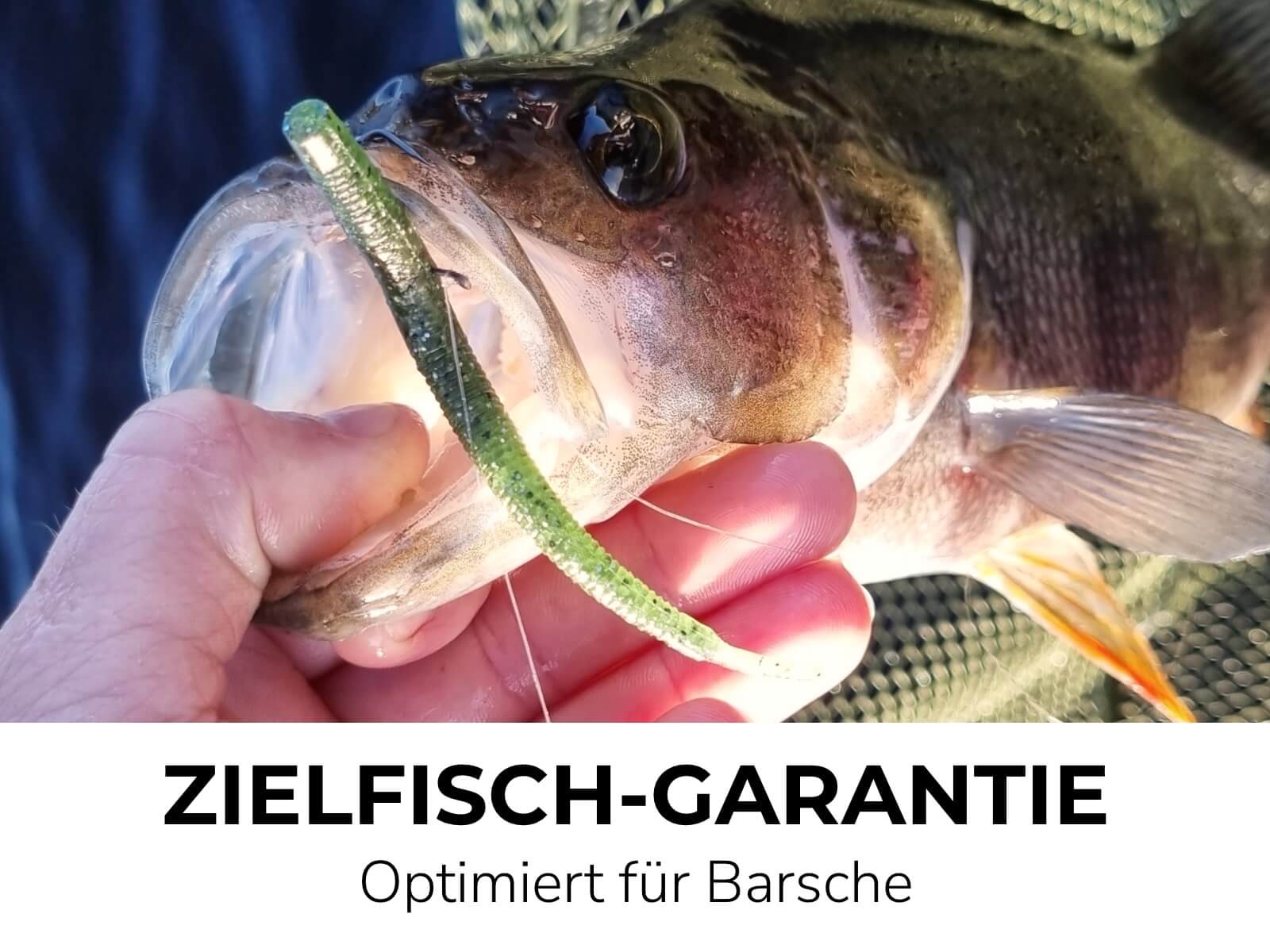 Vorschaubild 15