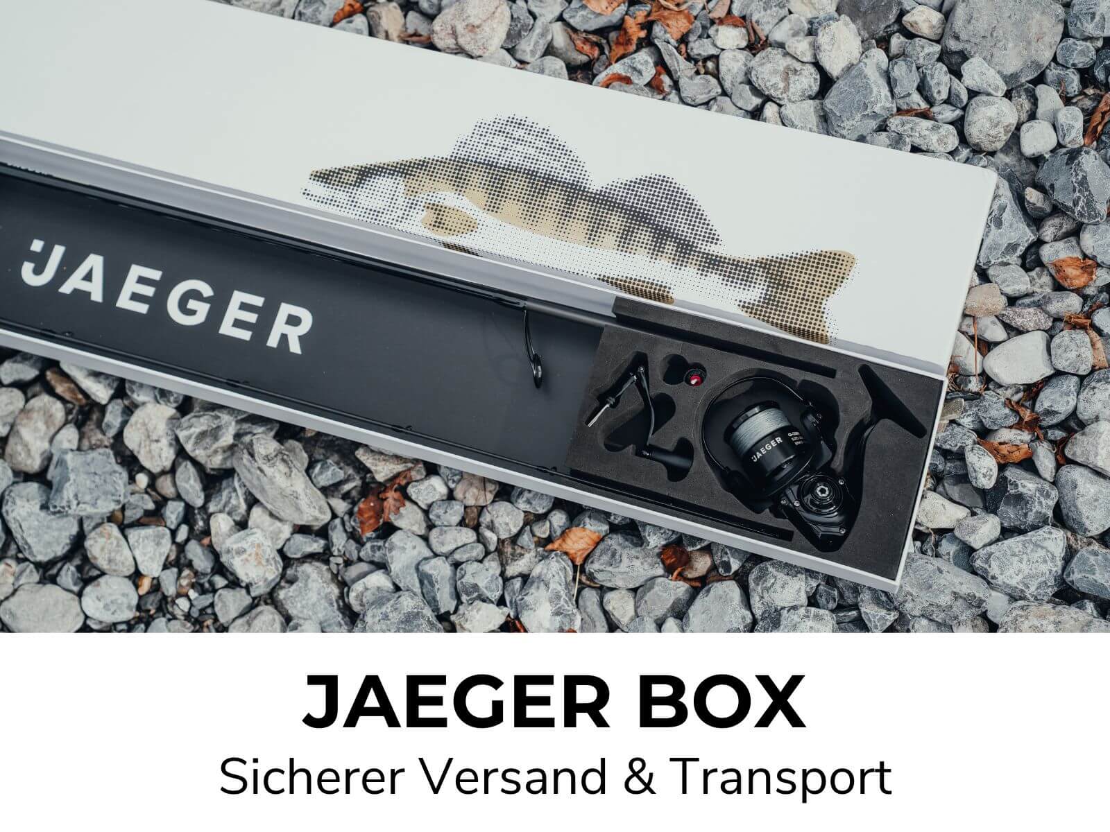 Vorschaubild 11