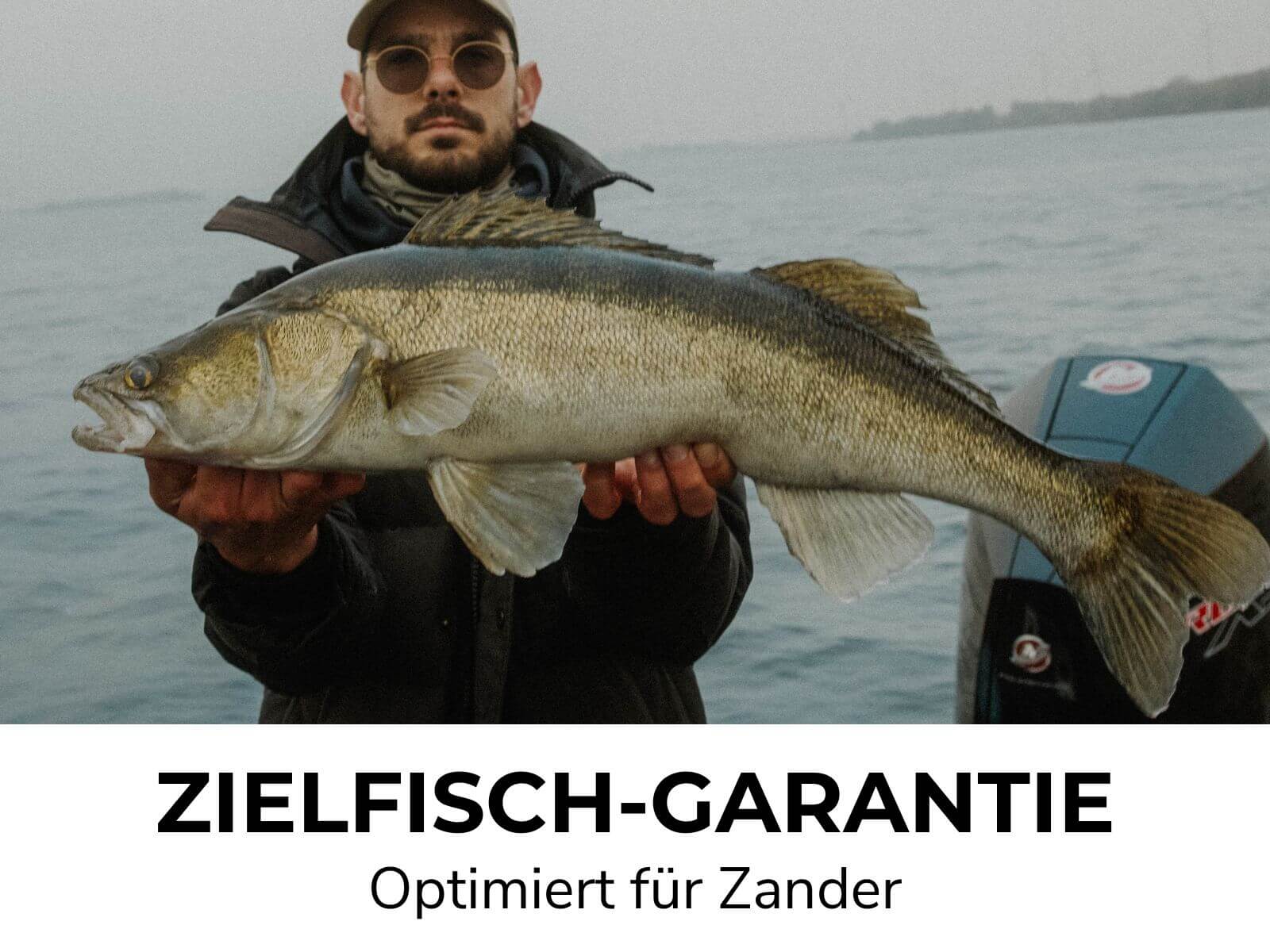 Vorschaubild 5