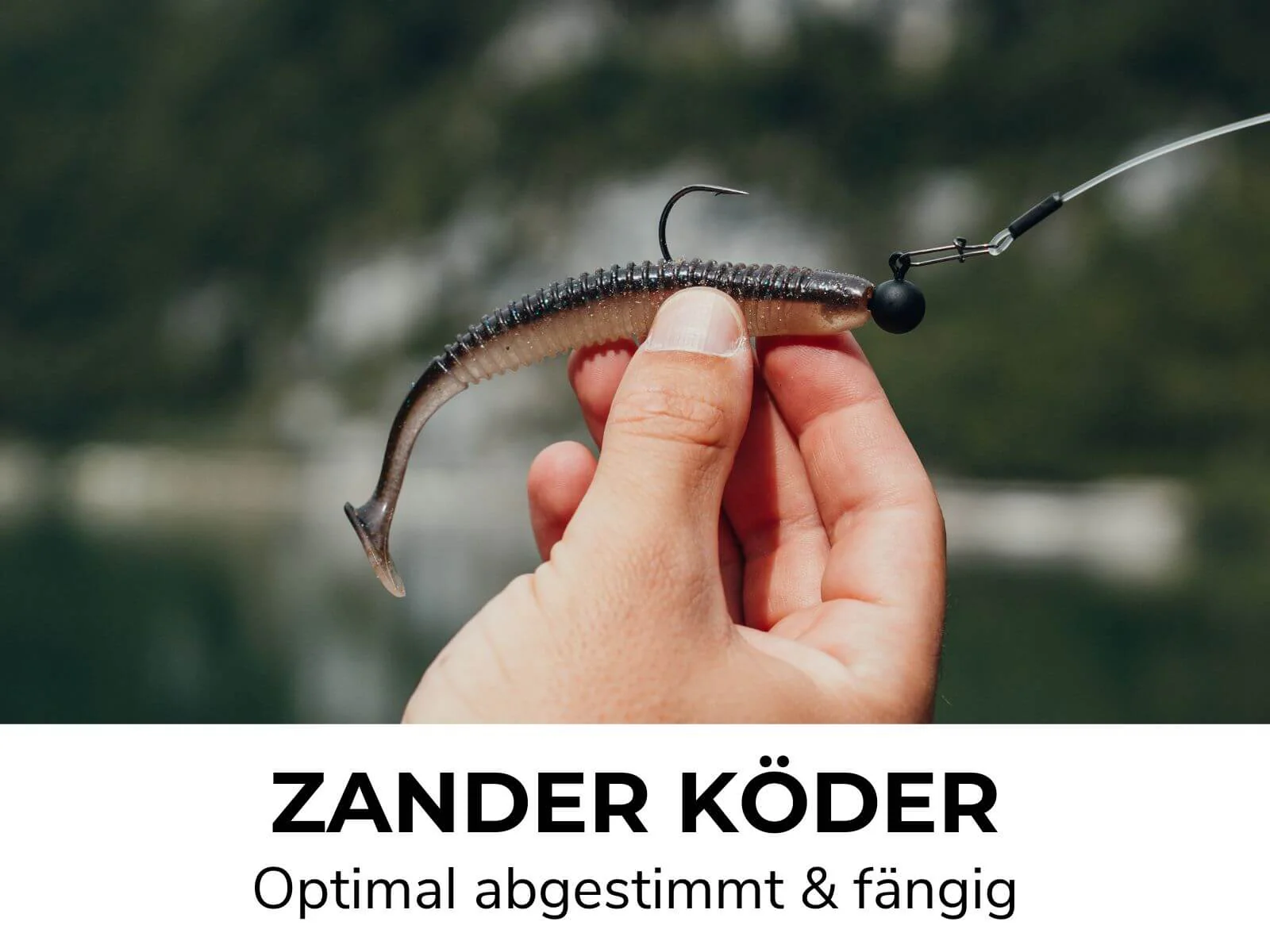 Vorschaubild 9